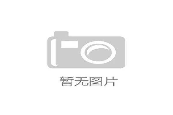 盾山技能重做强势来袭S41赛季新版本全面解析 盾山技能重做强势来袭S41赛季新版本全面解析